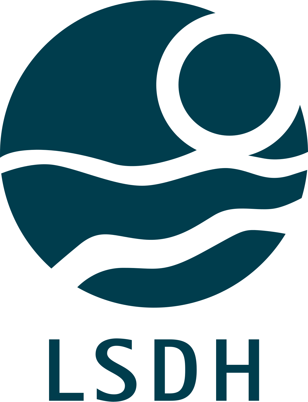 Logo entreprise LSDH